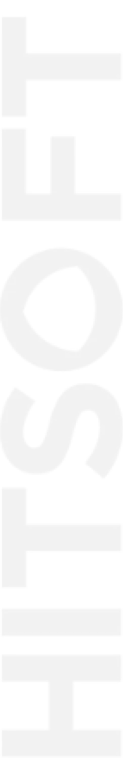 Hitsoft | Project Manager Application Form