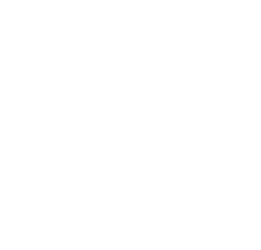 Hitsoft | Project Manager Application Form