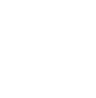 Hitsoft | Project Manager Application Form
