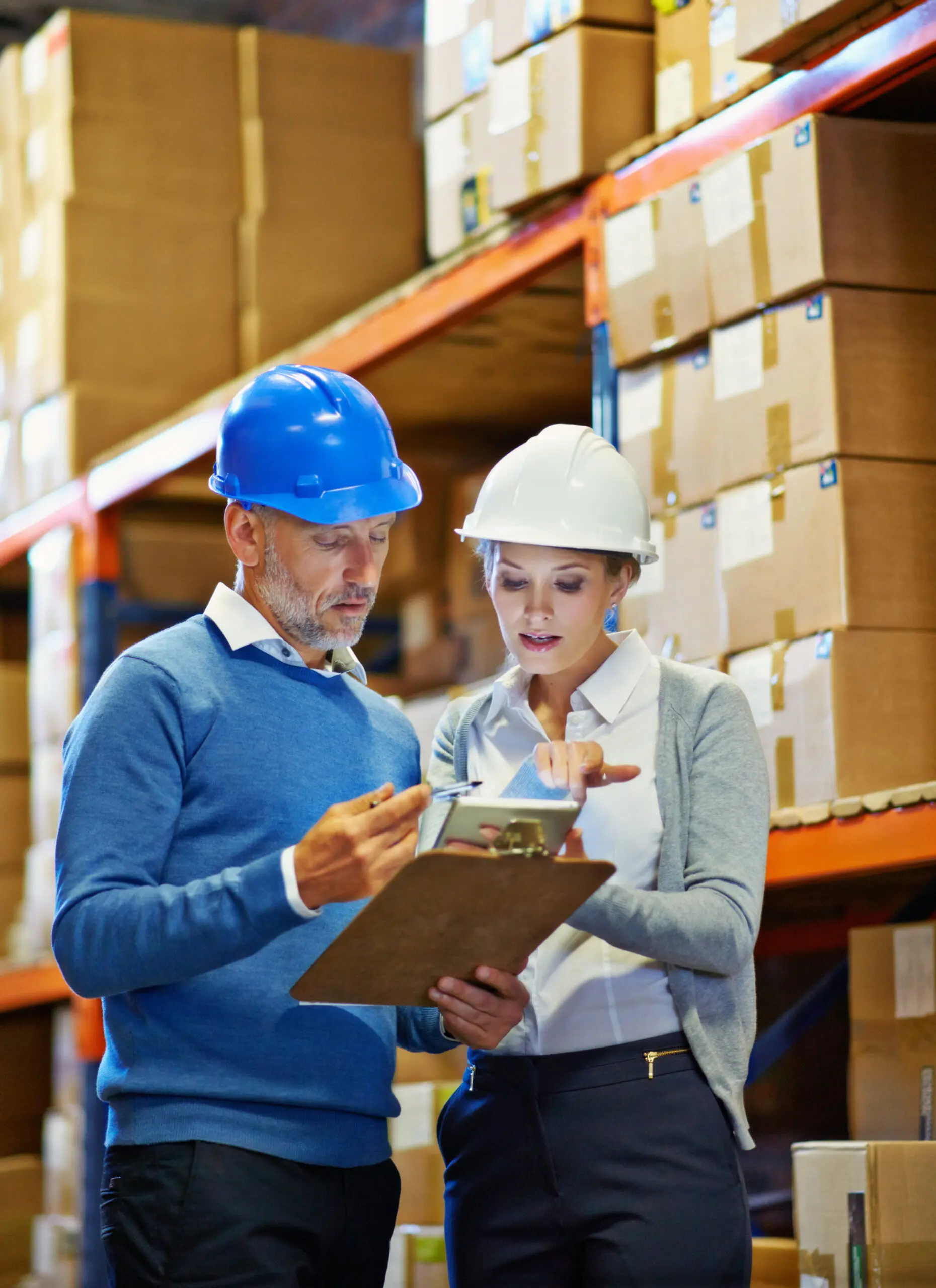 Wholesale and Distribution Sector