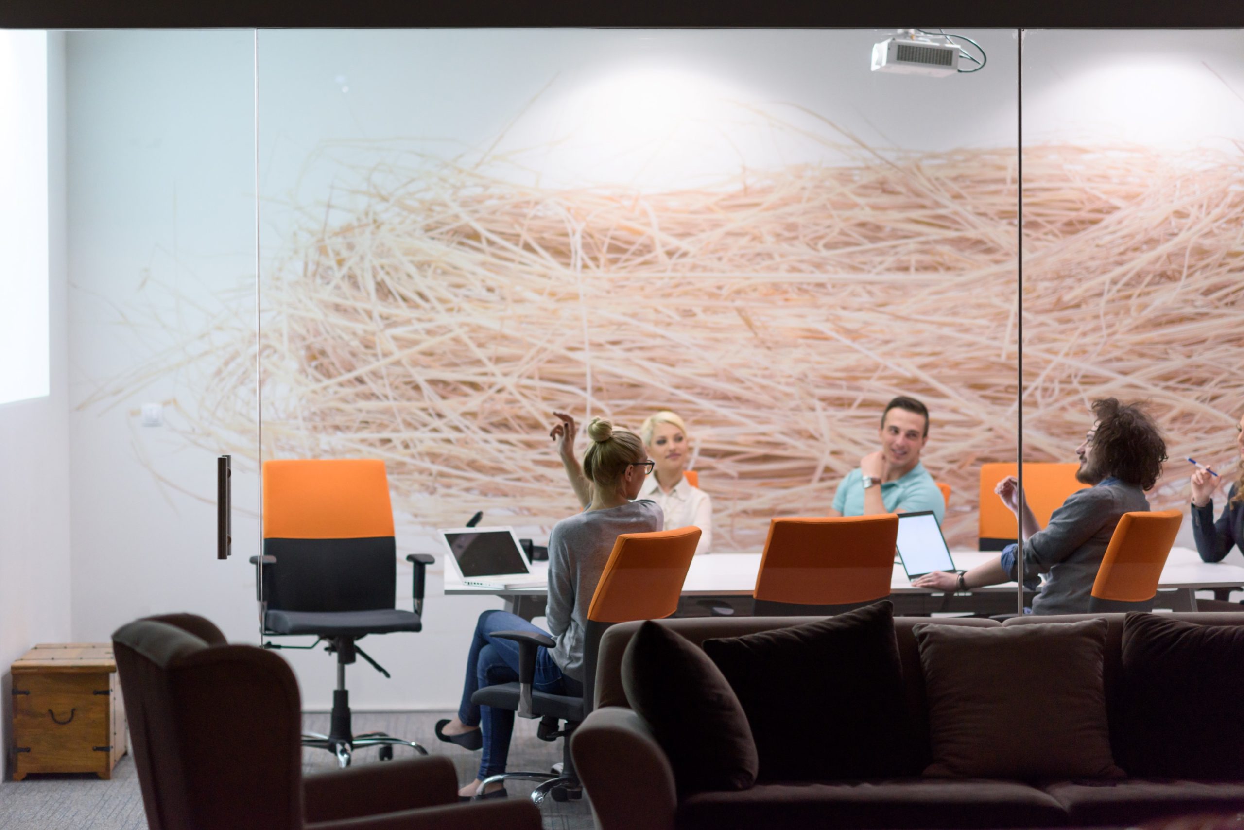 Hitsoft | User Training