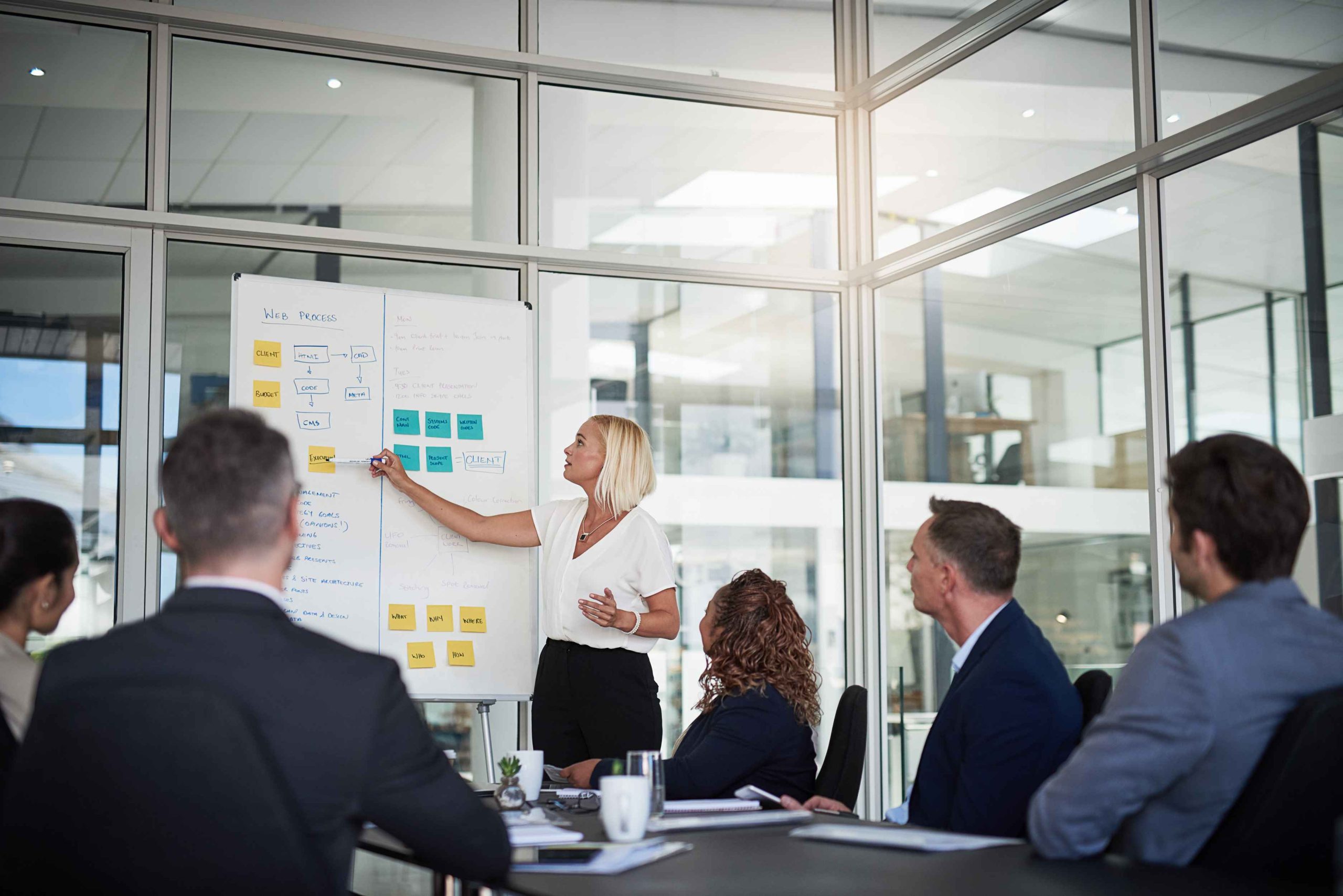 Hitsoft | User Training